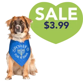 Hanukkah Holiday Dog Bandana by Dog Fashion Living