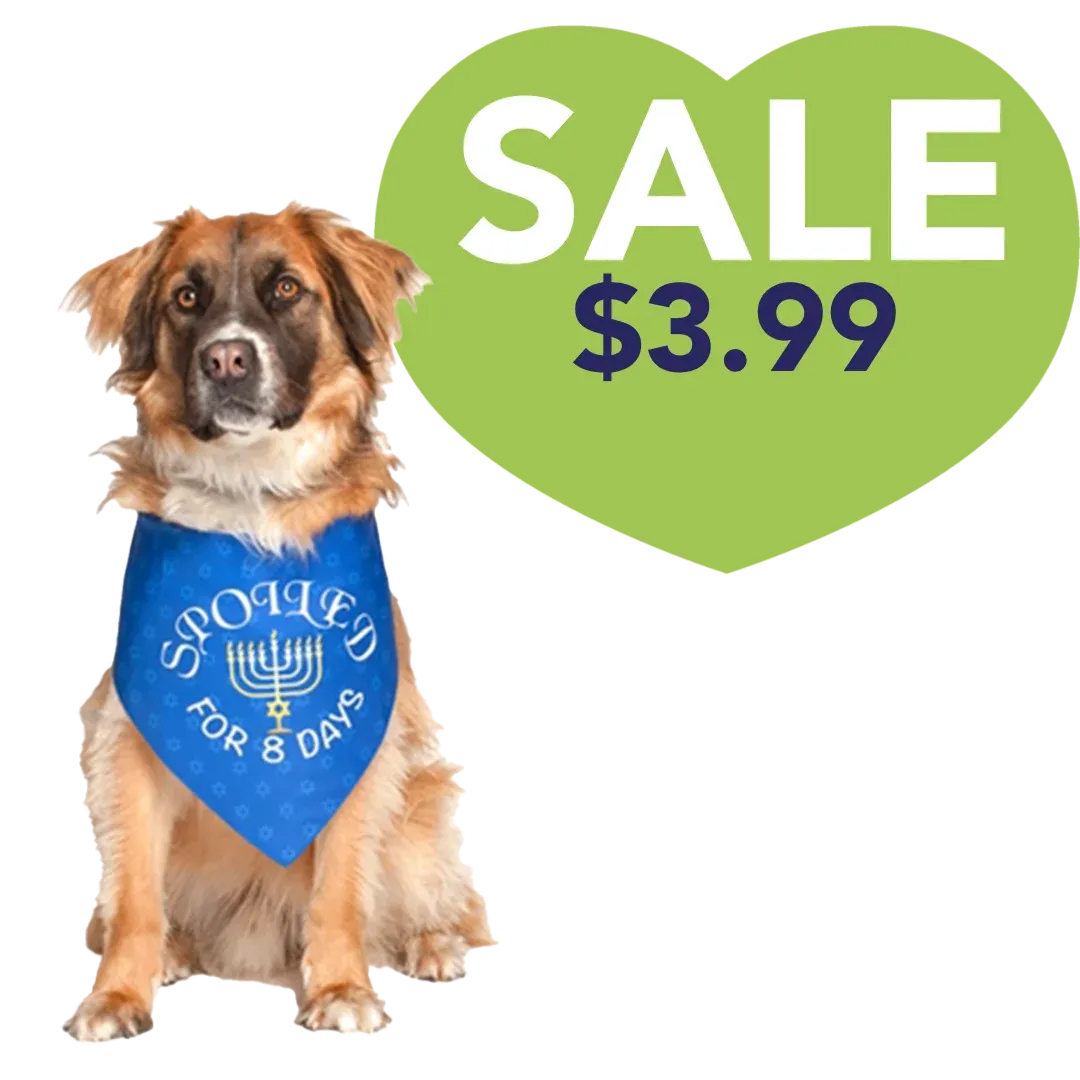 Hanukkah Holiday Dog Bandana by Dog Fashion Living