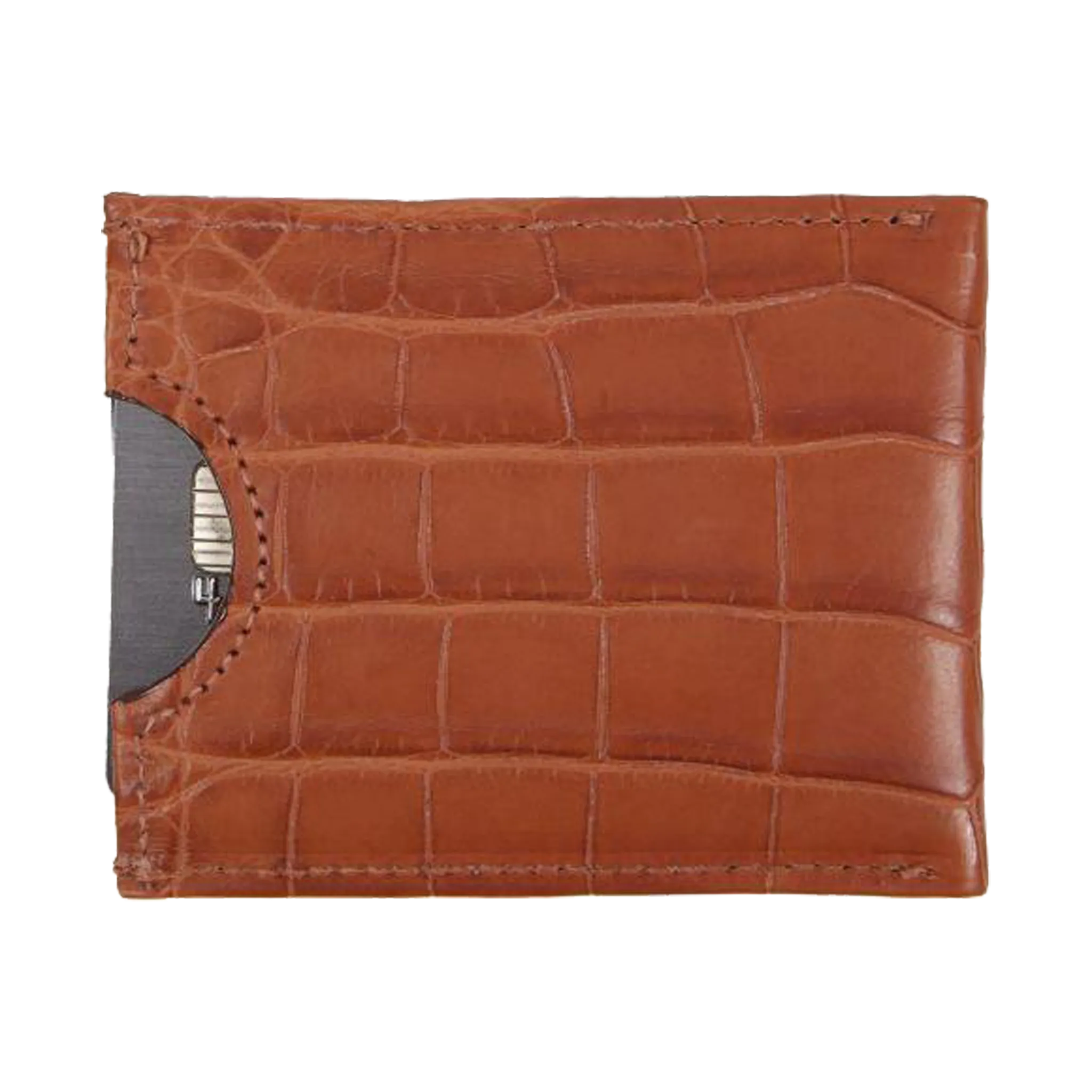 Money Clip Alligator