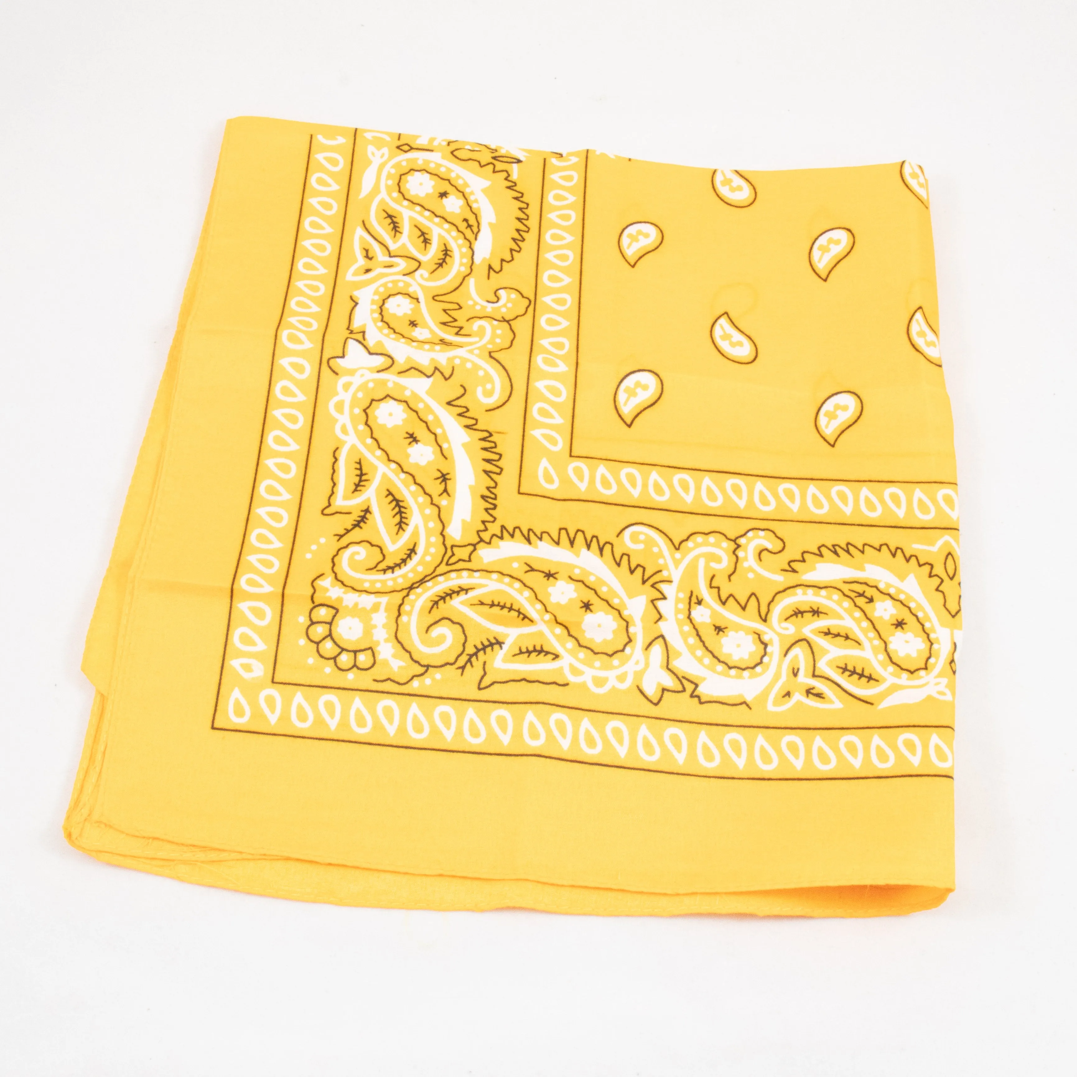 Paisley Bandana