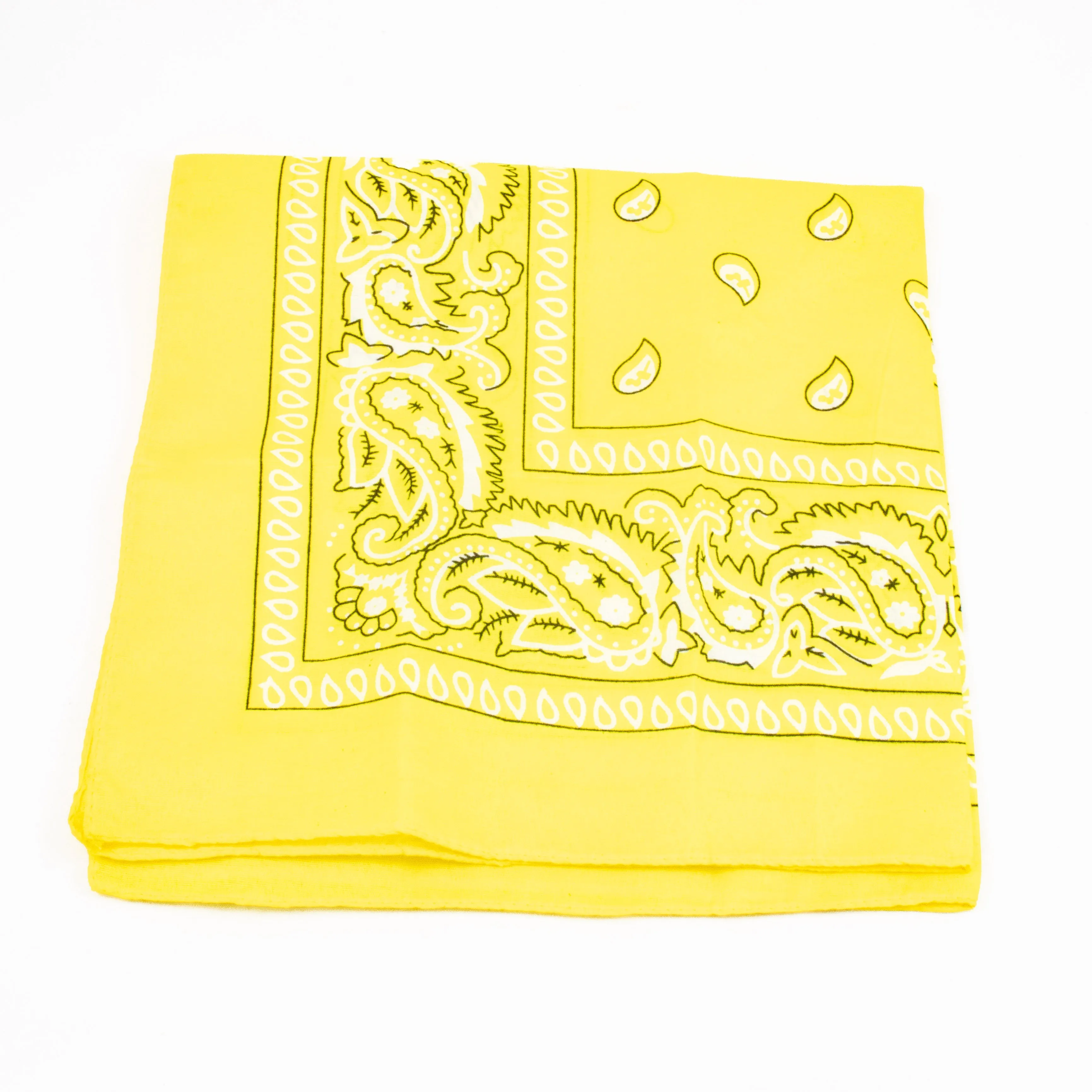 Paisley Bandana