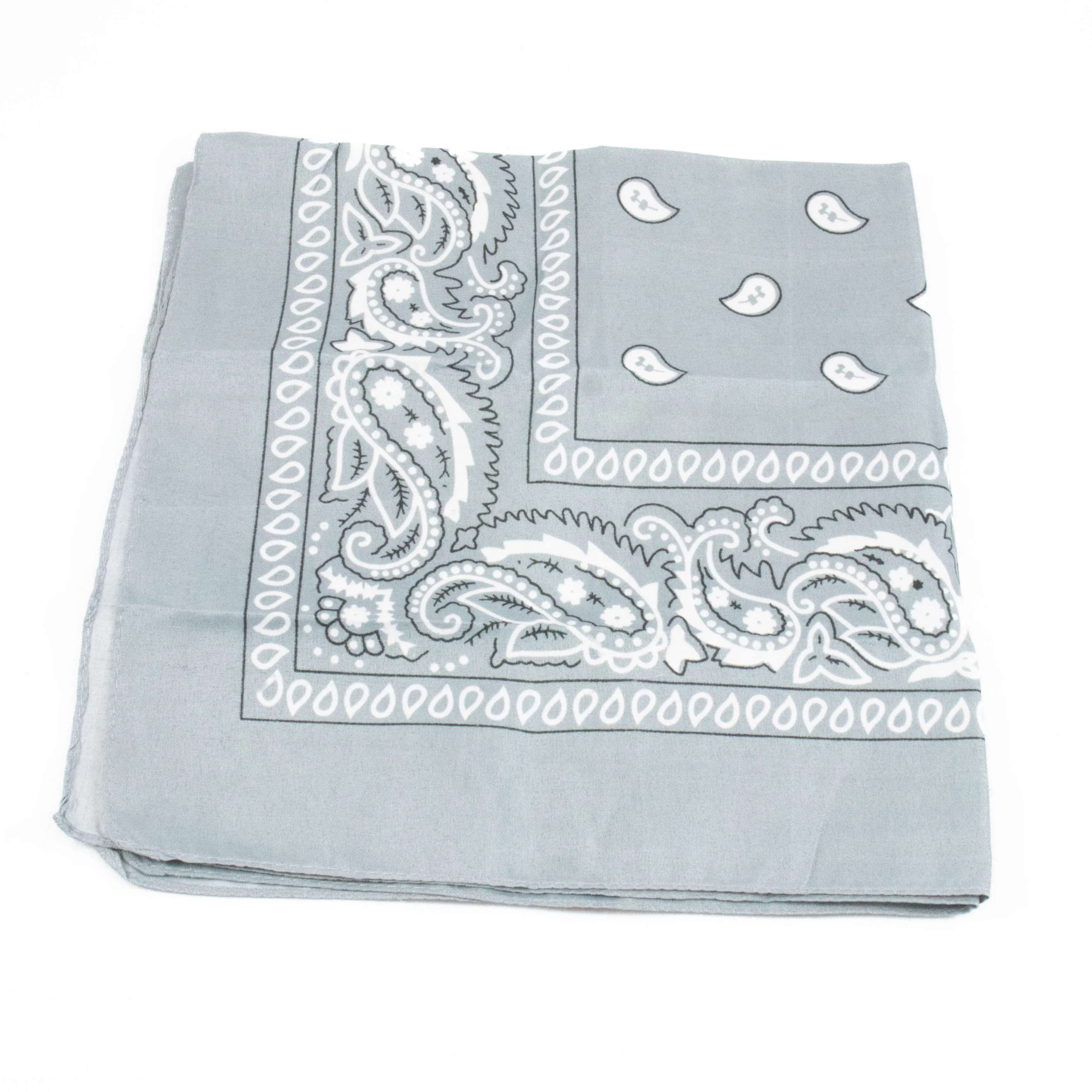 Paisley Bandana