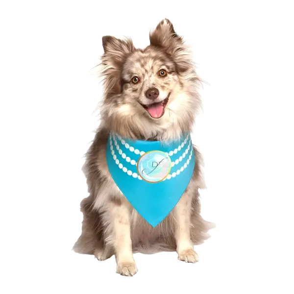 Pearl Fashion Wedding Dog Bandana by Dog Fashion Living