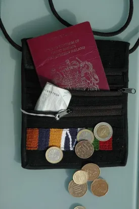 Toto passport bag